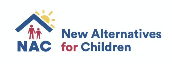 screenshot 2025 11 08 at 1.17.50 pm